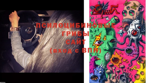МДПВ Белокуриха
