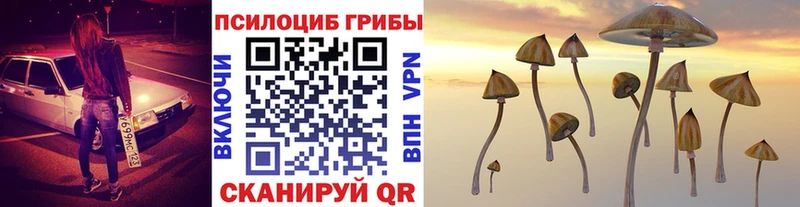 хочу наркоту  Реутов  Галлюциногенные грибы мухоморы 